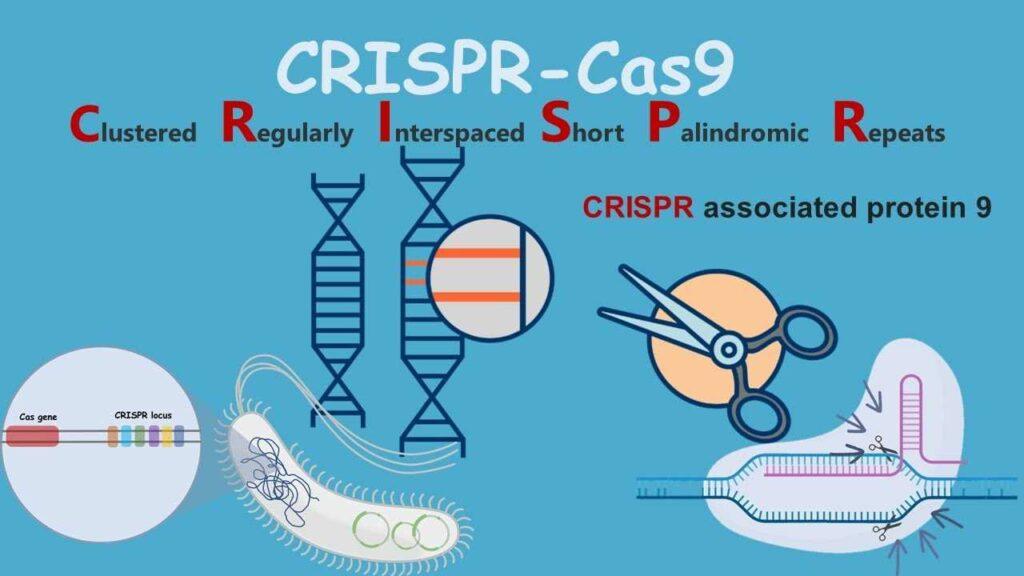 Геномная редактирование CRISPR